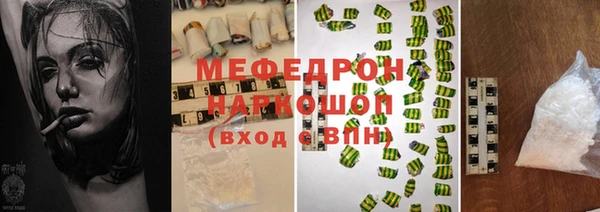 крисы Инта