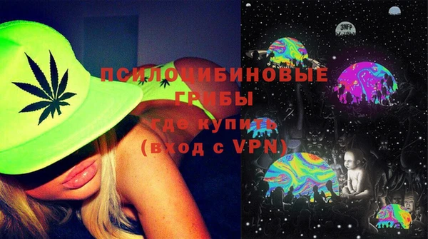 крисы Инта