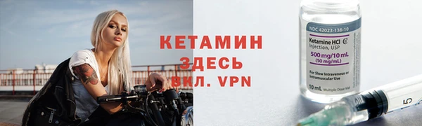крисы Инта