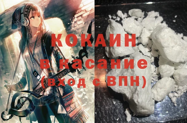 крисы Инта