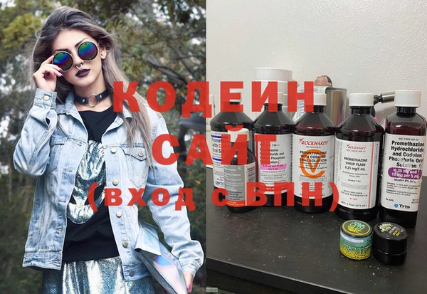 крисы Инта