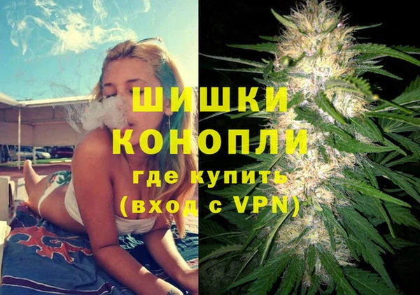 крисы Инта