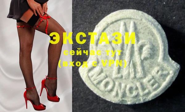 крисы Инта