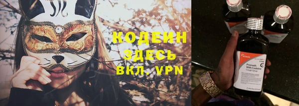 крисы Инта