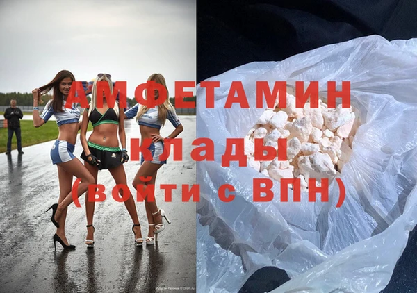 крисы Инта