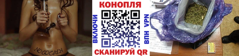 Бошки Шишки тримм  Купить где  Буйнакск 